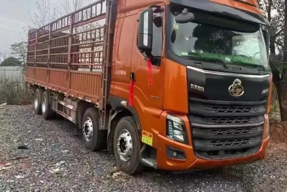 2. Hand Lorry Orange Color 12 Meter des Antriebs-8×4 Fracht-LKW Modus Yuchai-Maschinen-6 2021-jährigen Dongfeng der Zylinder-420hp