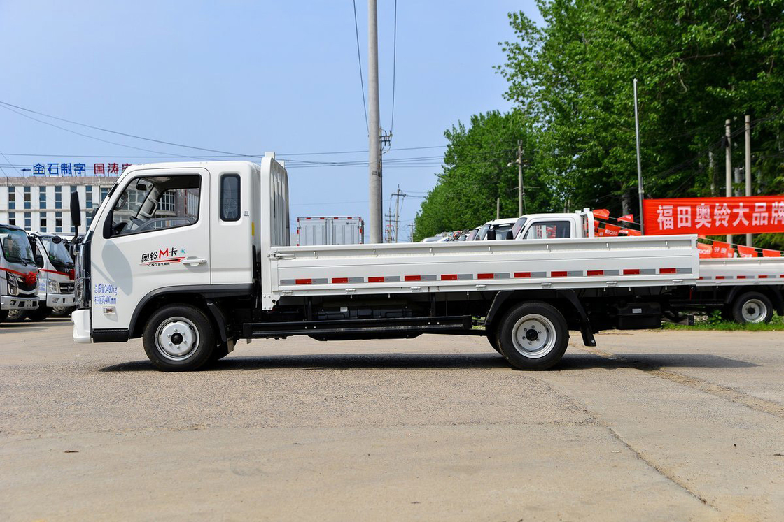 Foton Auman Leichtwagen 2.0L 127PS CNG 3,94m Euro 6 5 Gänge Einzelreihensitze Heckschrank