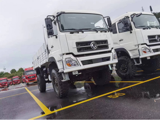 4x4 Lastwagen Dongfeng Zaun Lastwagen Blatt Feder 10 Tonnen Beladen schlechte Straße Fahren Euro 5