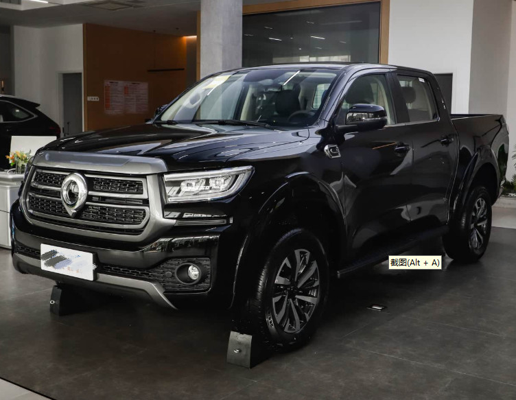 Neuer Great Wall Poer Pickup Truck, Hand- und Automatikgetriebe, 2WD, Diesel, Modell Comfort, Baujahr 2024