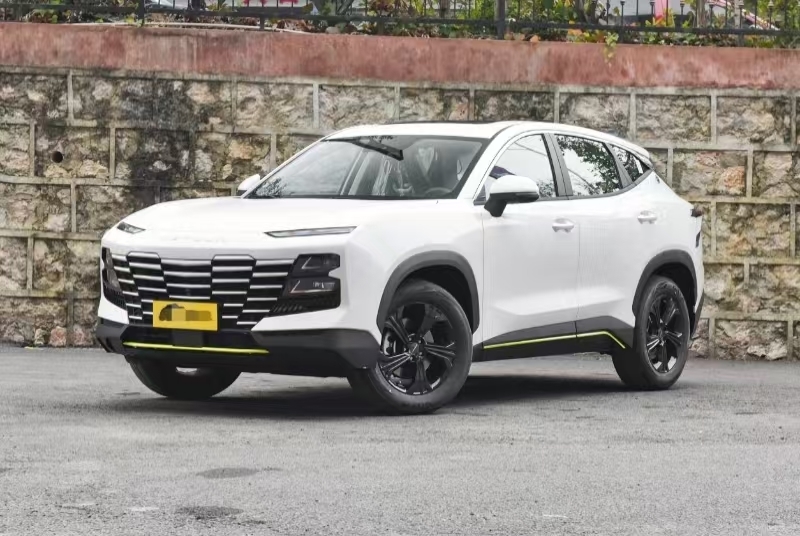 Neues Chery Jetour Dasheng 2025 Jahr 4WD Benzinfahrzeug Langlebig leistungsstark Idealfahrzeug mit individueller Farbe